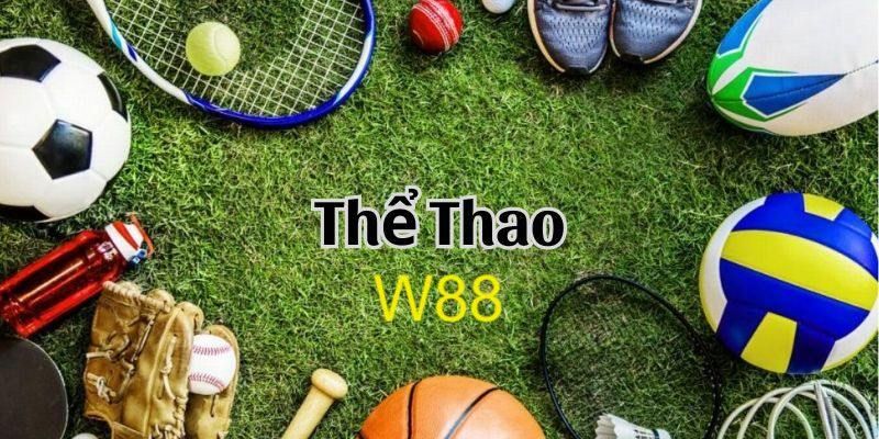 Giới thiệu sảnh thể thao W88 chi tiết